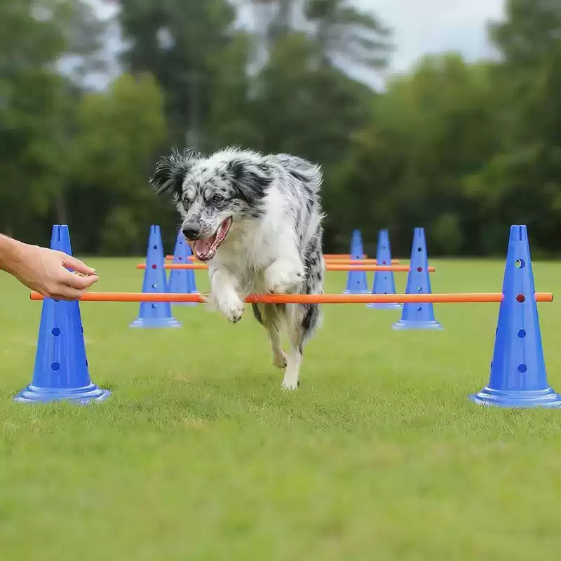 Set Ostacoli per Agility Canin - Agility Hurdle Set recensione e prezzo