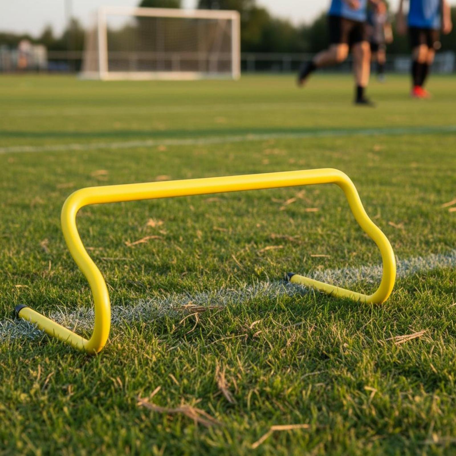 Set di Ostacoli Smontabili per - Agility Hurdle Set recensione e prezzo