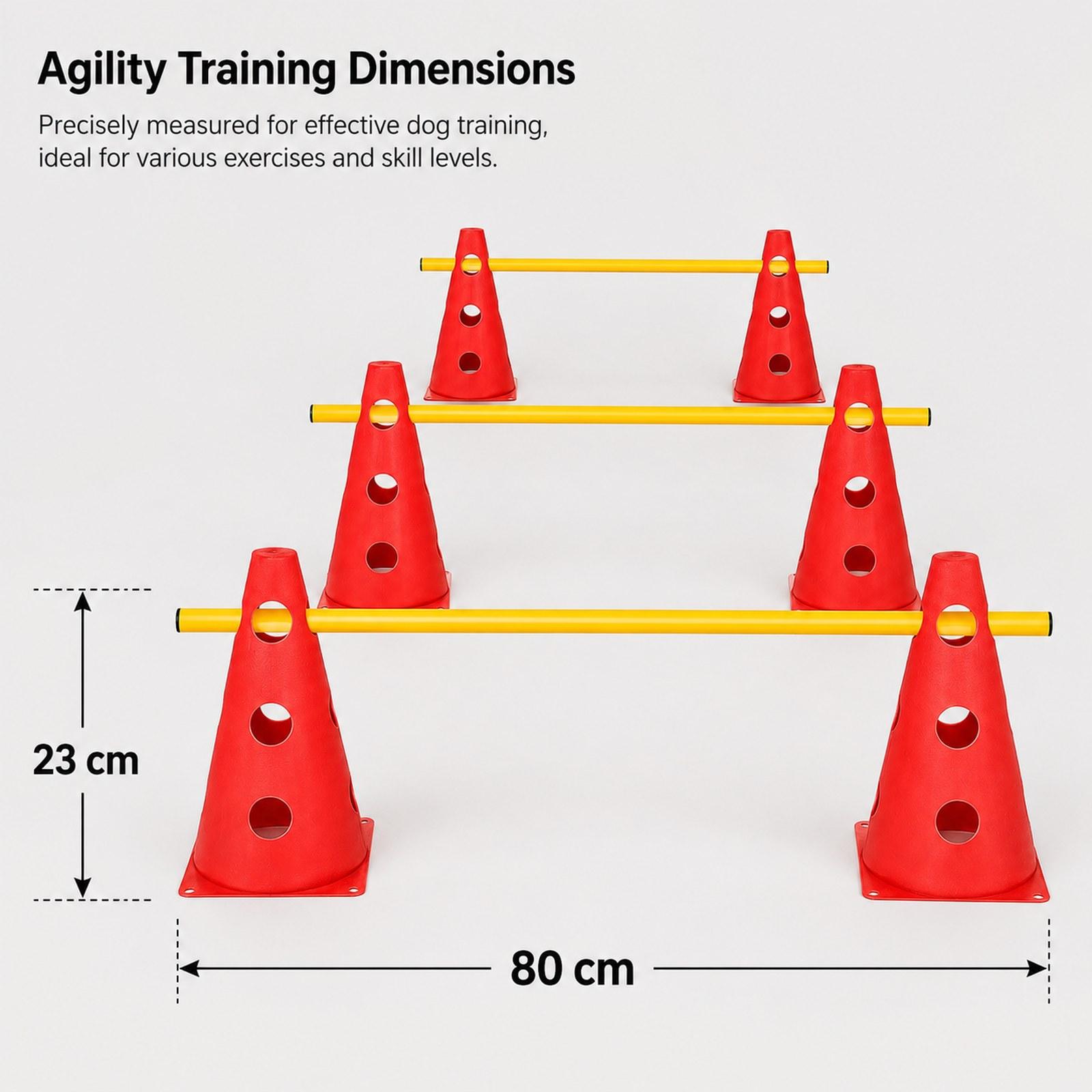 Kit Portatile per l'Allenament - Agility Hurdle Set recensione e prezzo